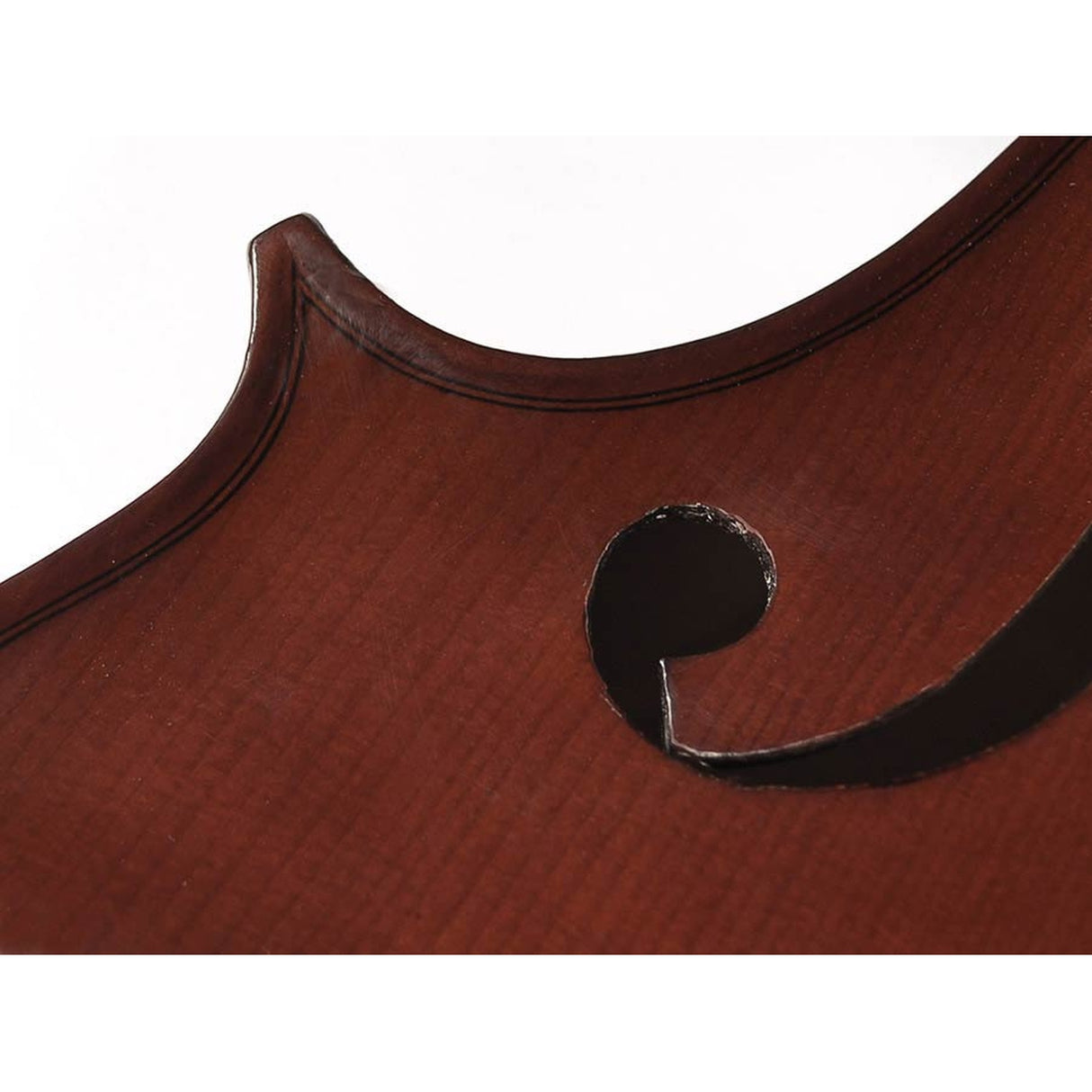 Leonardo LC-2044 cello set 4/4, geheel massief, nitro, ebben toebehoren, inclusief tas en strijkstok
