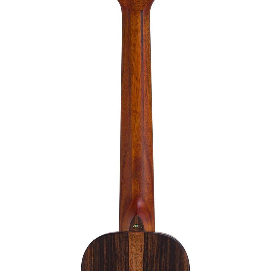 Bromo BAR3E Rocky Mountain Series reisgitaar semi akoestische western gitaar