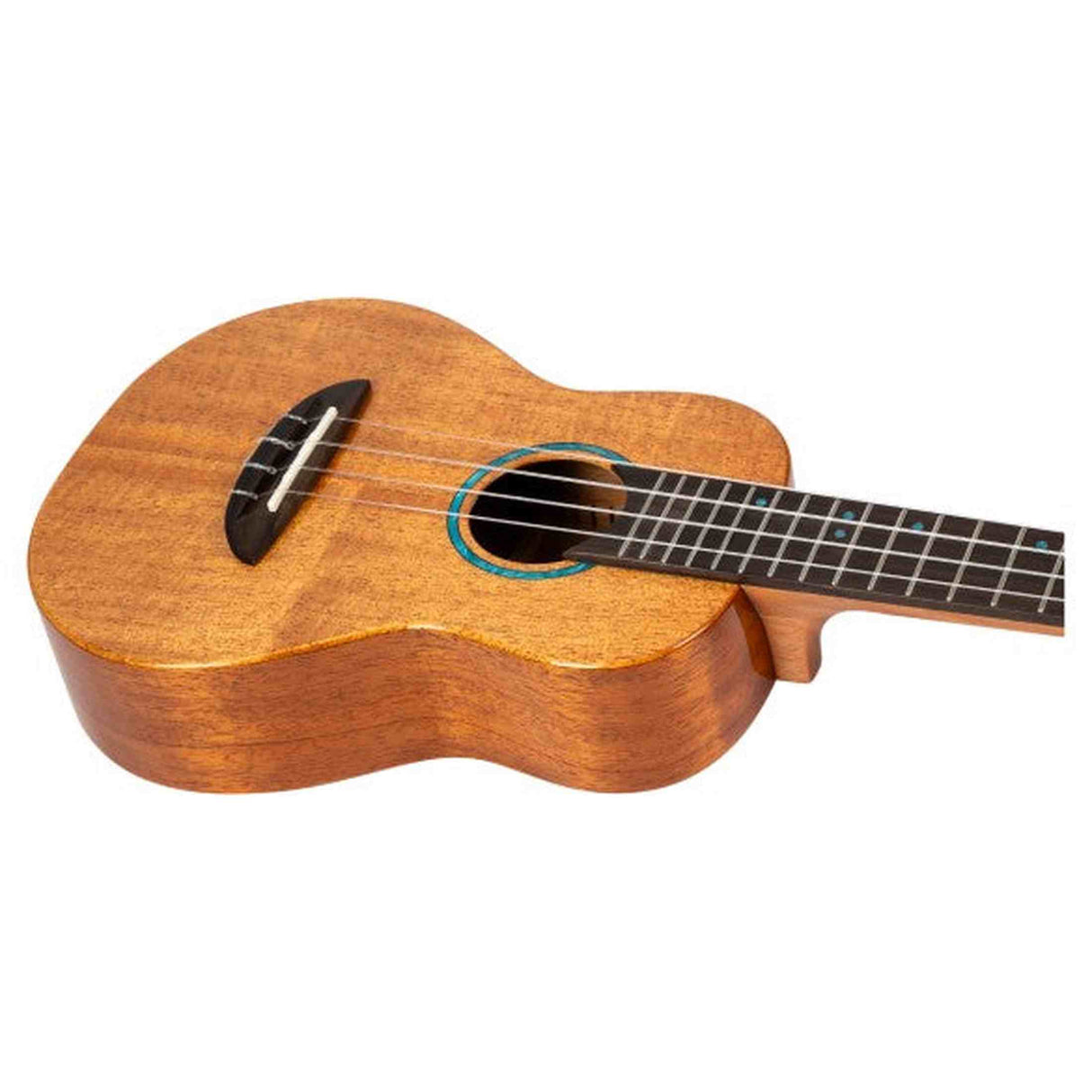 Flight Iris Tinta Concert NA Ukulele met All Solid Mahogany Body, Rosewood Toets en Fluorocarbon Snaren