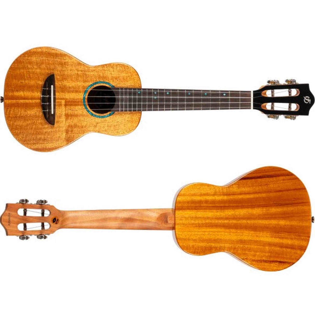 Flight Iris Tinta Concert NA Ukulele met All Solid Mahogany Body, Rosewood Toets en Fluorocarbon Snaren
