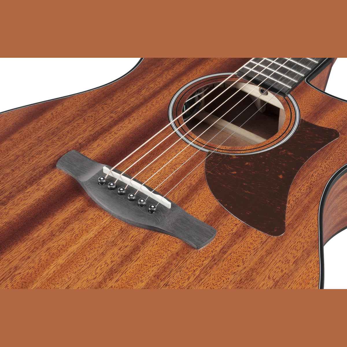Ibanez AAM54CE OPN Advanced Acoustic elektrisch akoestische gitaar