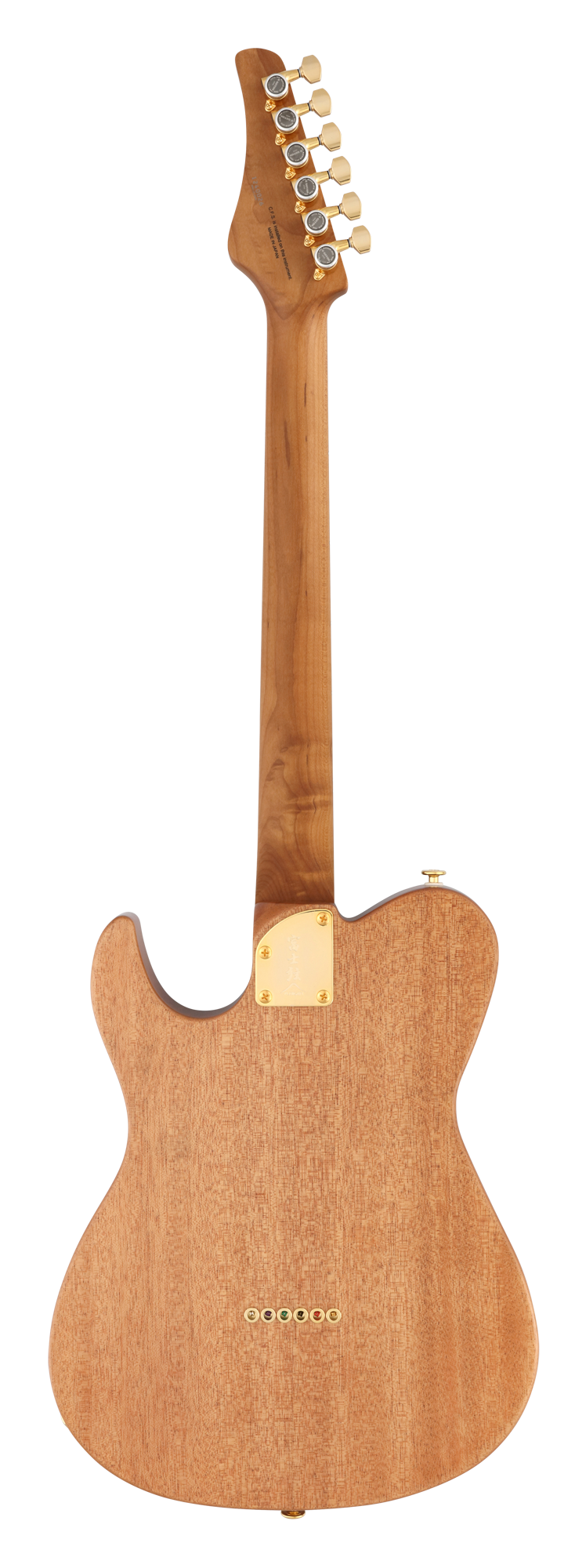 FGN Expert Iliad elektrische gitaar Natural Flat, Madagascar Rosewood Top, 22 RVS frets, met koffer
