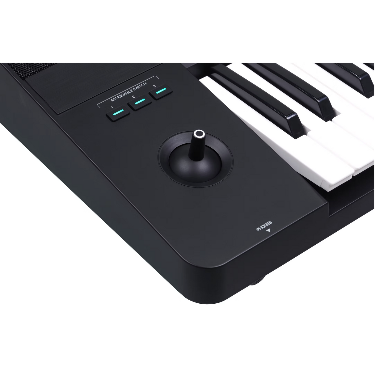 Medeli AKX10S Arranger Pro Series Digital Workstation 7'' touchscreen