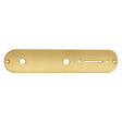 Boston CP-TE-AG control plate, 32x160mm, Teaser, 9,5mm holes for inch pots, gold