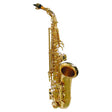 Stewart Ellis SE-710-L Student Series Altsax