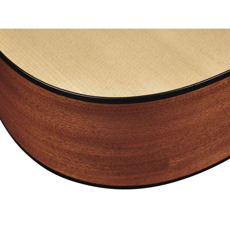 Richwood D-20-E Master Series Dreadnought Gitaar met Element – Inclusief Stemapparaat & Luxe Standaard