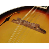 Richwood RMA-60-VS A-Style Mandoline – Heritage Series, Vintage Sunburst & Hoogglans