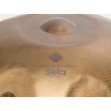 Sela SE 201 Stainless Steel Handpan D Kurd 440 Hz goud handgemaakt met gevoerde draagtas