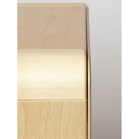 Sela SEL106 CaSela Pro Cajon