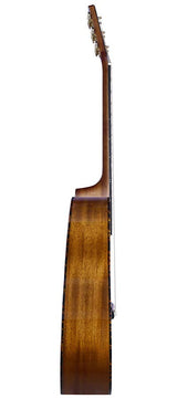 Bromo BAN1V Denali Series dreadnought gitaar, torified solid spruce top, mahogany body, natural gloss, heavy duty tas