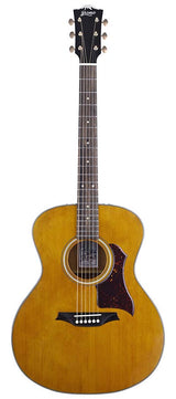 Bromo BAN2V Denali Series Grand Auditorium gitaar, torified solid spruce top, mahogany body, natural gloss, heavy duty tas