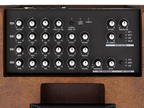 Acus Simon 10 Akoestische Versterker - 300 Watt