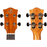 Flight ANT CEQ Antonia Concert Electro Ukulele