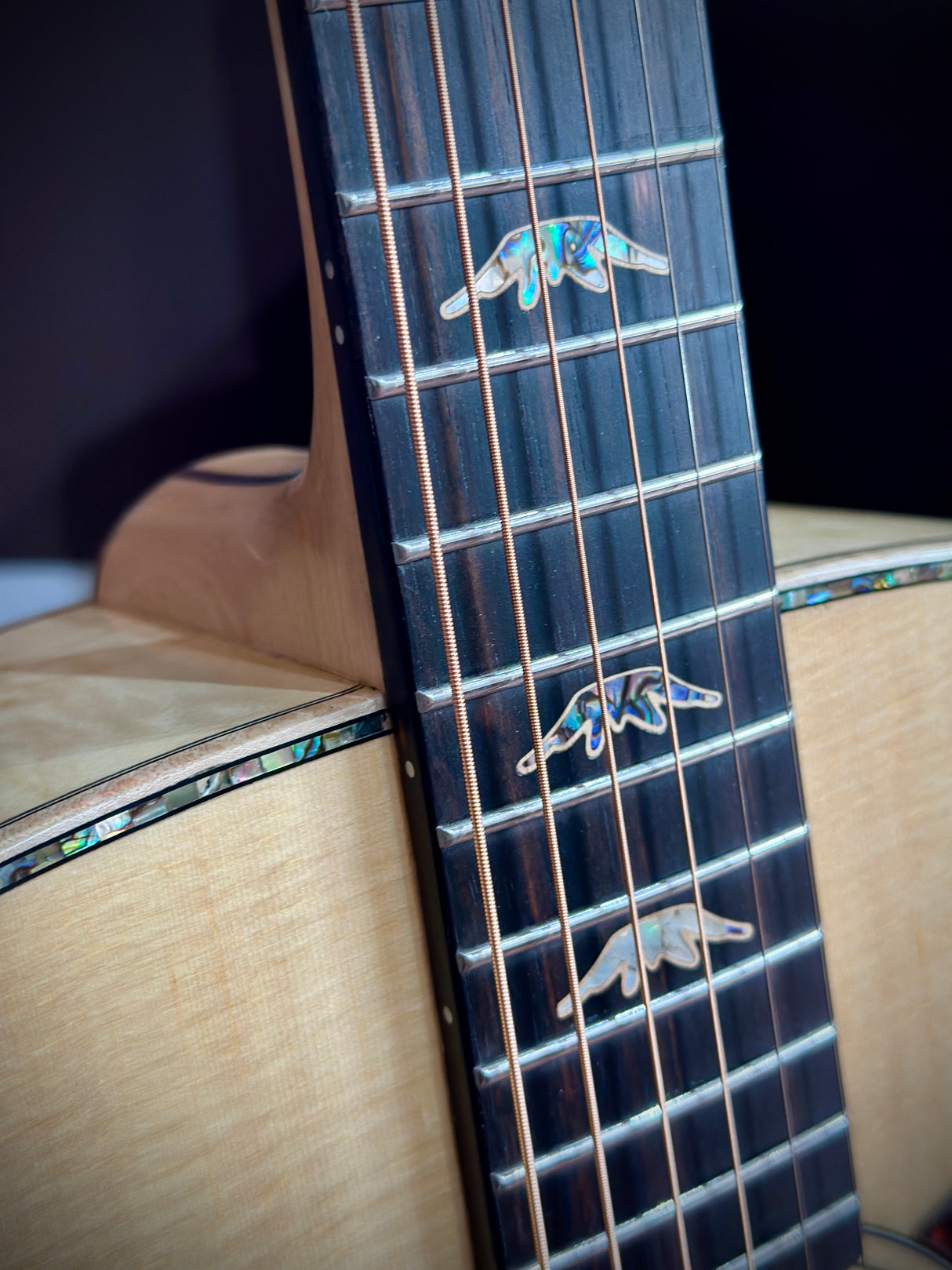 Bromo BAN7E Danali Series Jumbo akoestische gitaar sollid