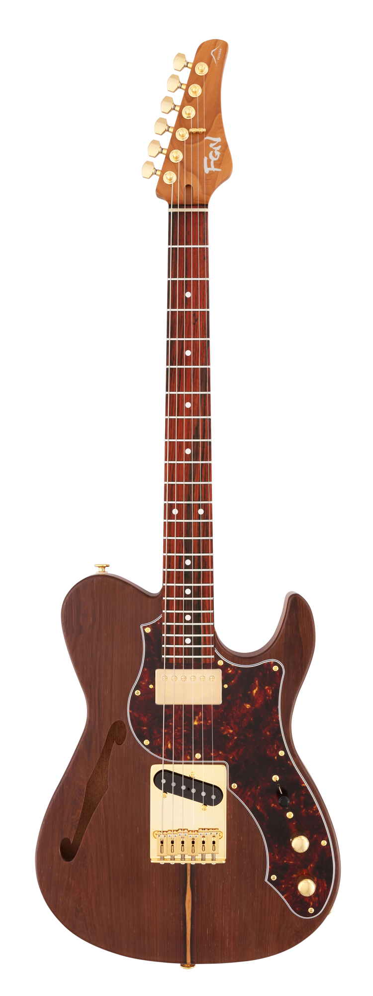 FGN Expert Iliad elektrische gitaar Natural Flat, Madagascar Rosewood Top, 22 RVS frets, met koffer