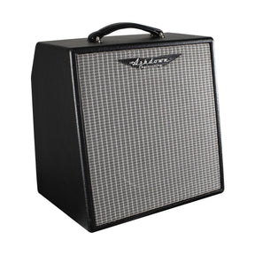 Ashdown PM-2-UK Buis Gitaar Combo Versterker 2W met 12" Speaker