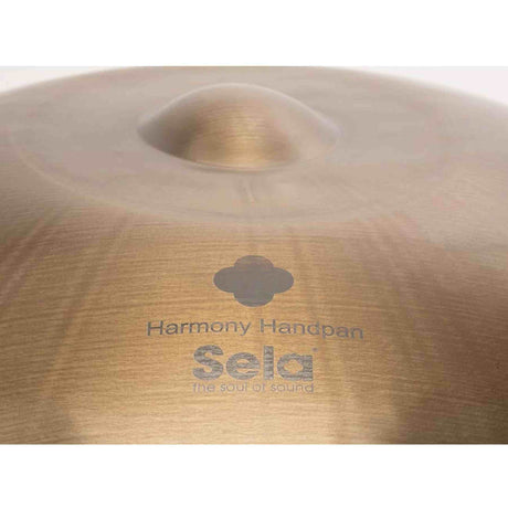 Sela SE 300 Stainless Steel Handpan Bb2 Amara 440 Hz goud handgemaakt met gevoerde draagtas