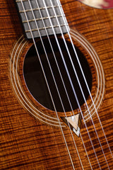 Cort Luxe Nylon Frank Gambale Signature – Massief Blackwood, Nylon Snaren & Fishman Flex Blend