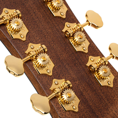 Cort Gold-DC6 – Massief Mahonie, Torrefied Sitka & Fishman Flex Blend