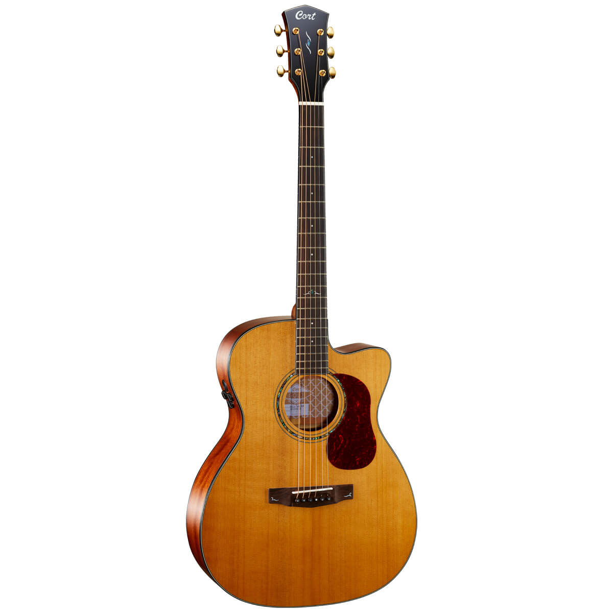 Cort Gold-OC6 – Massief Mahonie, Torrefied Sitka & Fishman Flex Blend