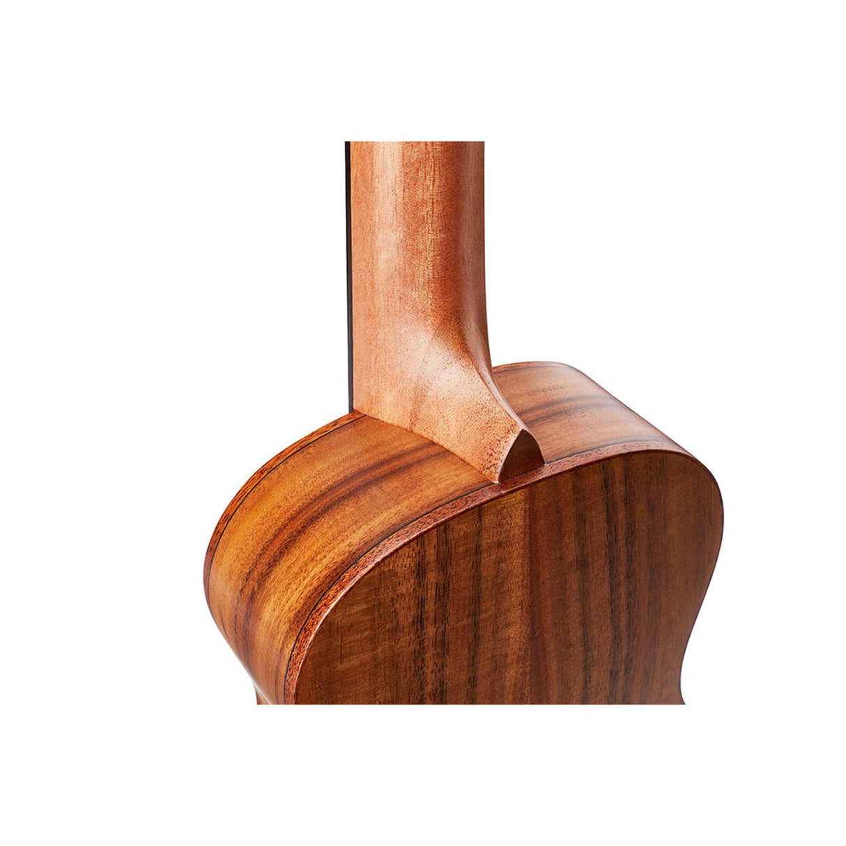 TOM M3 Concert Ukelele met Acacia Body en D'Addario Snaren Inclusief Luxe Hoes