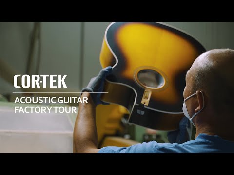 Cort Luxe Nylon Frank Gambale Signature – Solid Blackwood, Nylon Strings &amp; Fishman Flex Blend