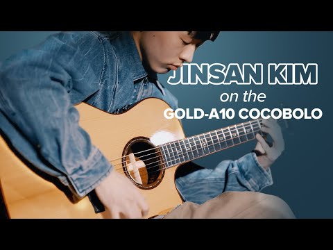 Cort Gold-A10 Cocobolo – Solid AAA Cocobolo, Torrefied Adirondack &amp; Fishman Flex Blend
