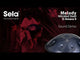 Sela SE 221 Nitrided Steel Handpan D Amara 440 Hz dark gray with padded gig bag