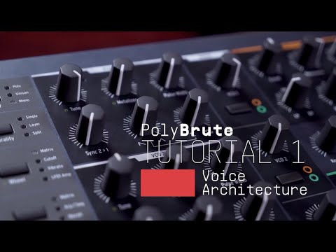 Arturia PolyBrute Noir – 61 keys, analog, morphée controller, ribbon, 6 voices