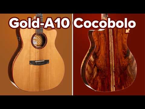 Cort Gold-A10 Cocobolo – Solid AAA Cocobolo, Torrefied Adirondack &amp; Fishman Flex Blend