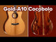 Cort Gold-A10 Cocobolo – Solid AAA Cocobolo, Torrefied Adirondack &amp; Fishman Flex Blend