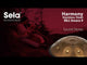 Sela SE 300 Stainless Steel Handpan Bb2 Amara 440 Hz Gold Handmade with Padded Gig Bag