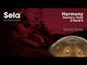 Sela SE 201 Stainless Steel Handpan D Kurd 440 Hz Gold Handmade with Padded Gig Bag