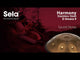 Sela SE 202 Stainless Steel Handpan D Amara 440 Hz Gold Handmade with Padded Gig Bag