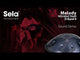 Sela SE 220 Nitrided Steel Handpan D Kurd 440 Hz Dark Blue with Padded Gig Bag