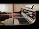 Casio AP-S450BN Celviano digital piano brown 